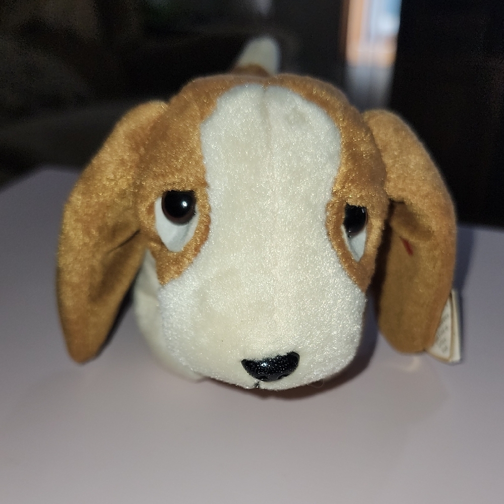 Plush Dog TY Beanie Baby Tracker puppy beagle 2